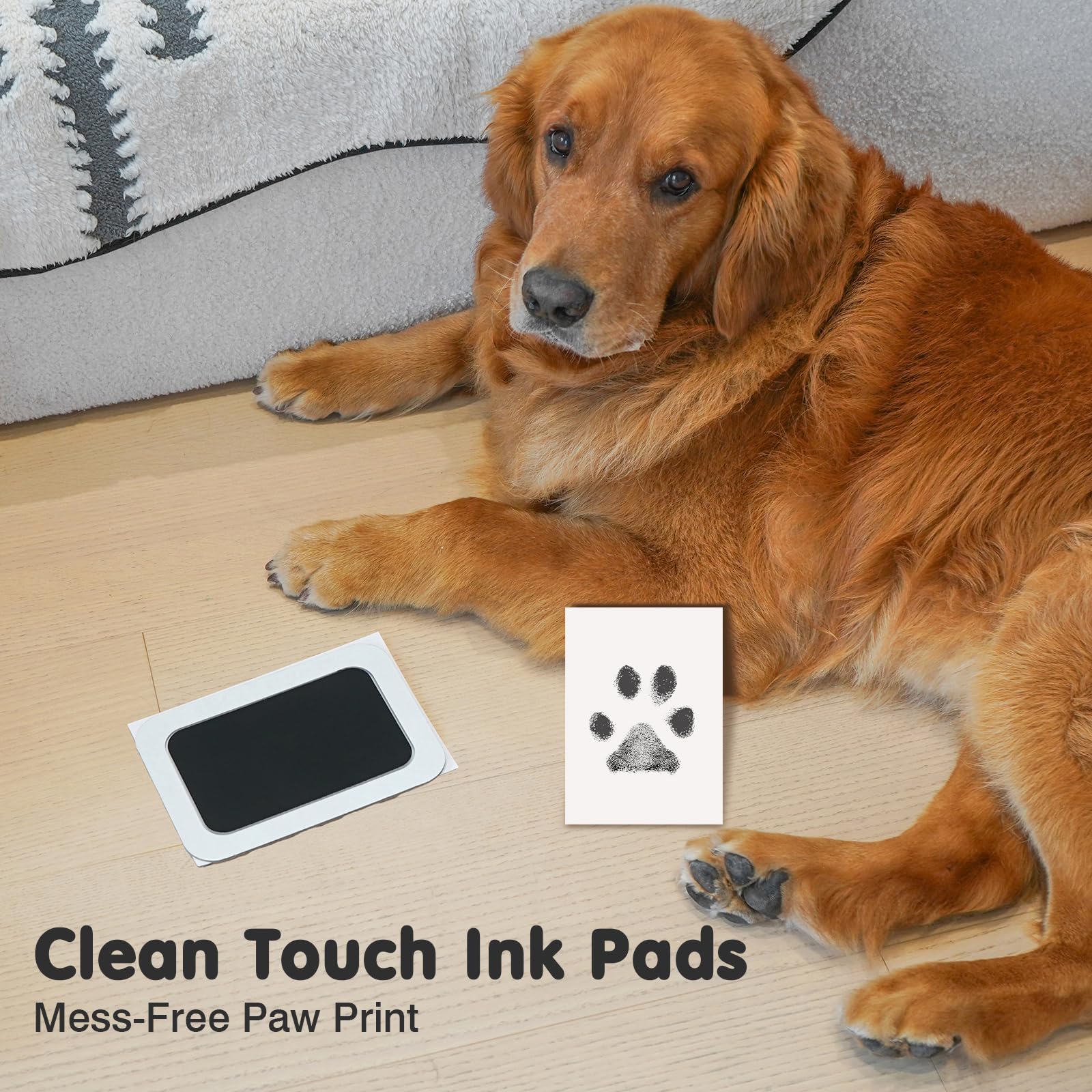 Catose ink pads close-up demonstrates safe, inkless surface for clean paw prints