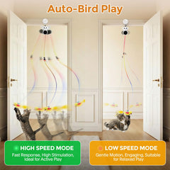 Catpick 2in1 smart mouse wand enhances active play and curiosity.