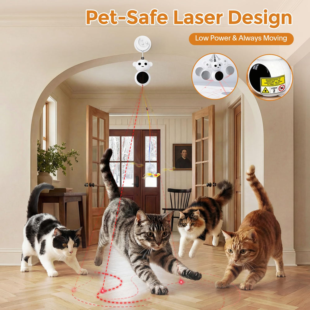 Catpick auto play cycle eight minutes of structured activity for cats.
