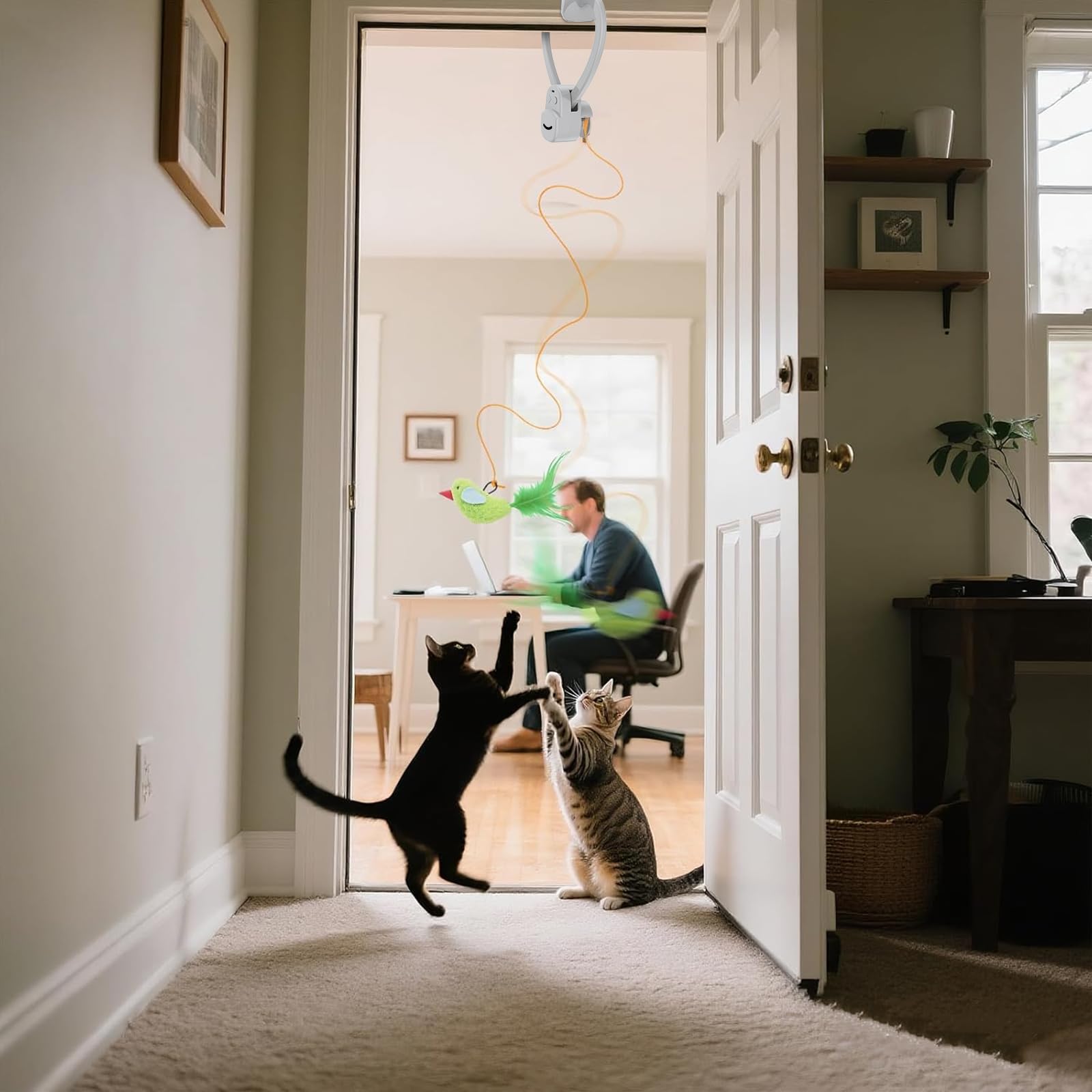 CATPICK mouse and bird combo entices hunting-like play