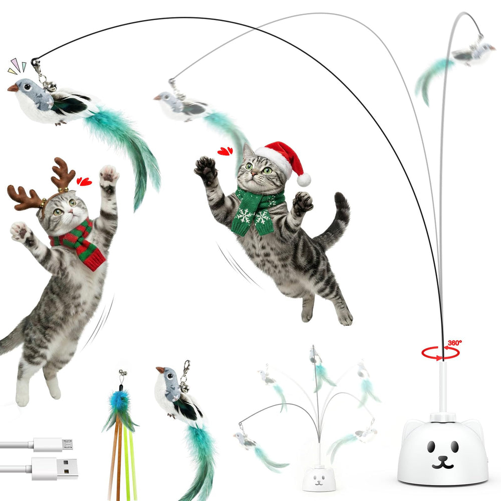 Catpick joy 360° spin toy demonstrates engaging indoor play for curious cats