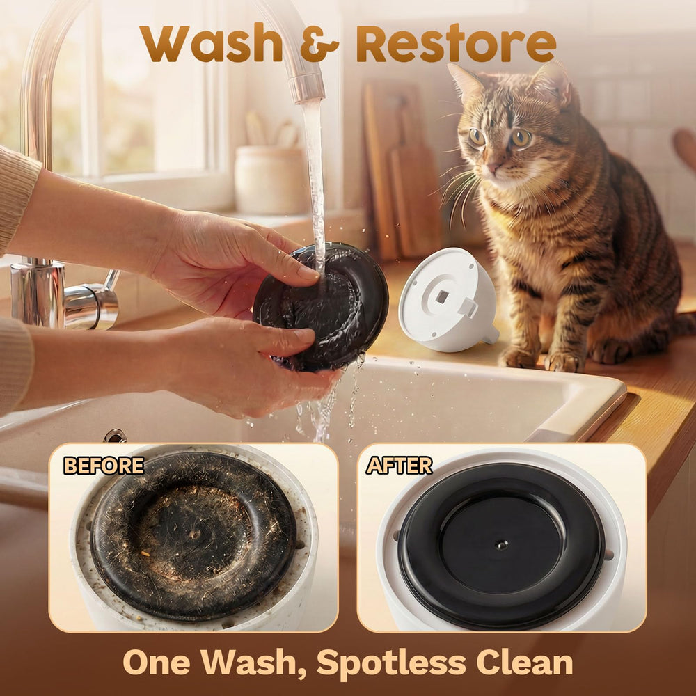 Catpick joy multi-cat use showcases shared playtime with a safe design