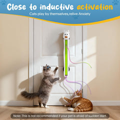 Catpick toy wall-mount setup demonstrates space-saving enrichment on smooth surfaces