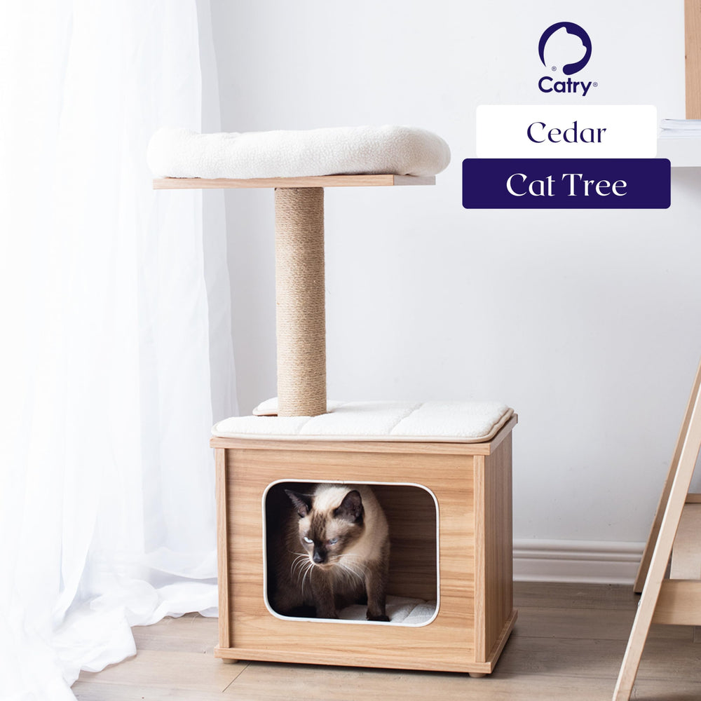 Catry cat-tree in brown finish for cozy living spaces.