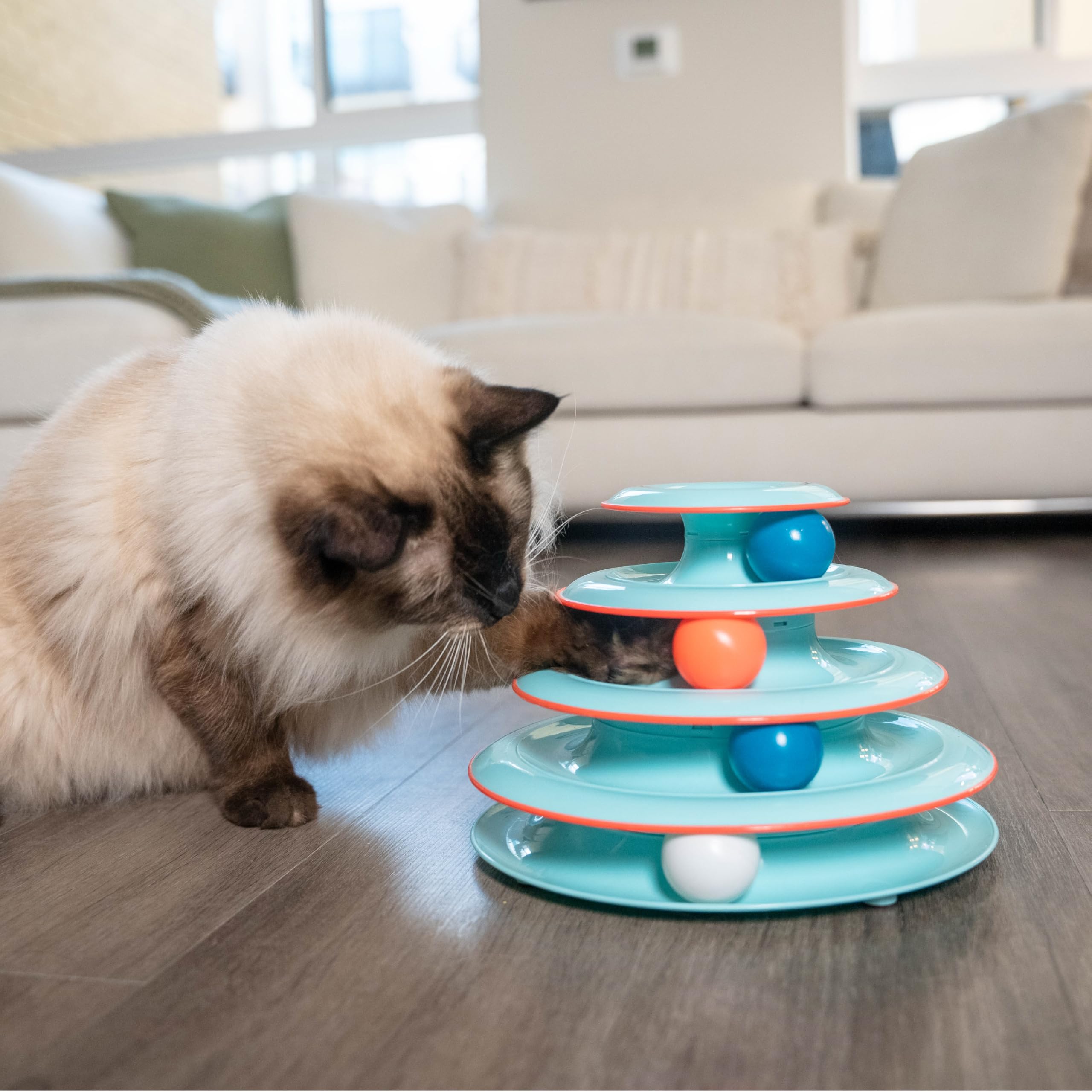 Catstages Chase Meowtain interactive toy promotes active mental and physical play.