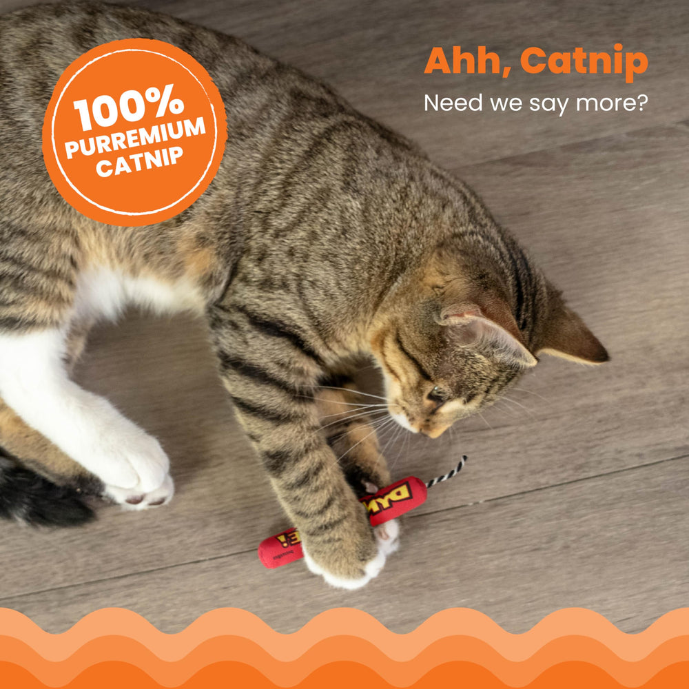 Catstages Green Magic Dynamite Stick catnip toy mid-kick scene encourages solo or shared play.