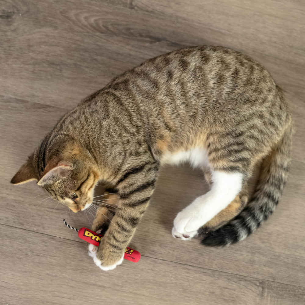 Catstages Green Magic Dynamite Stick catnip toy premium catnip content enhances engaging play.