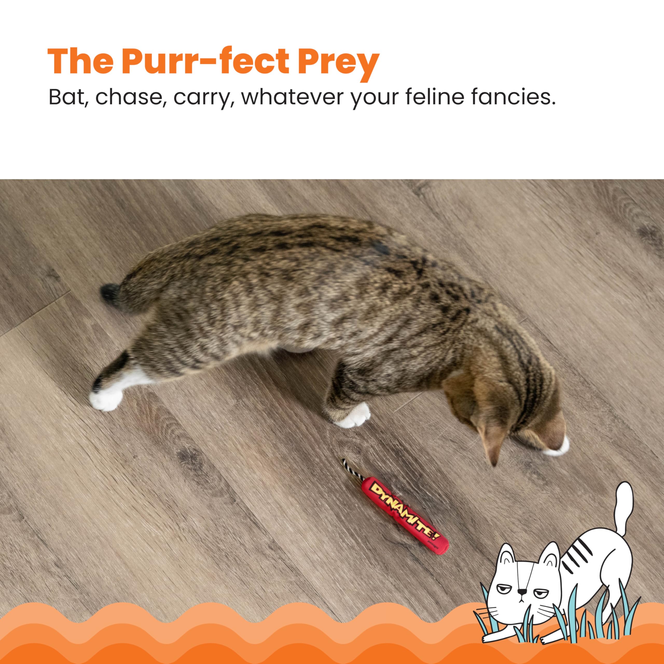 Catstages Green Magic Dynamite Stick catnip toy roll-and-refresh feature keeps scent alive.