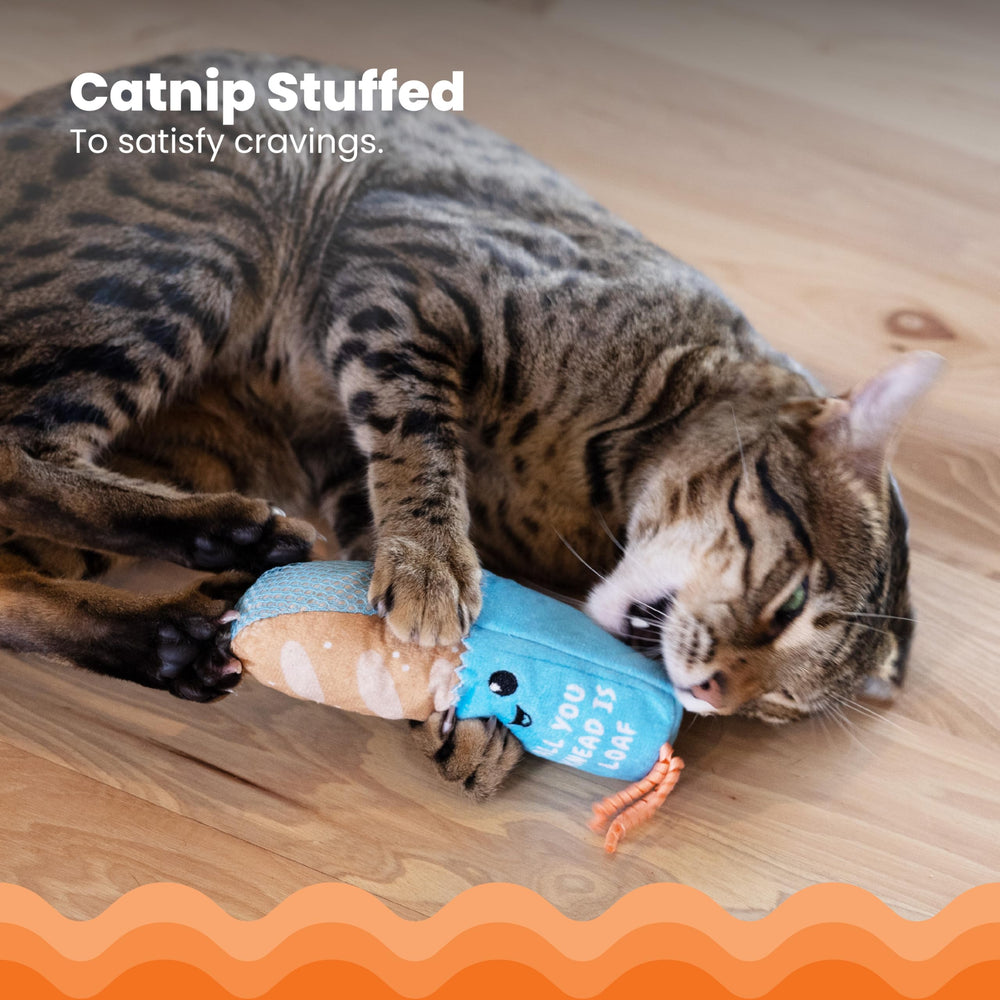 Catstages Loaf Kicker Toy textured mesh for gentle teeth cleaning during play