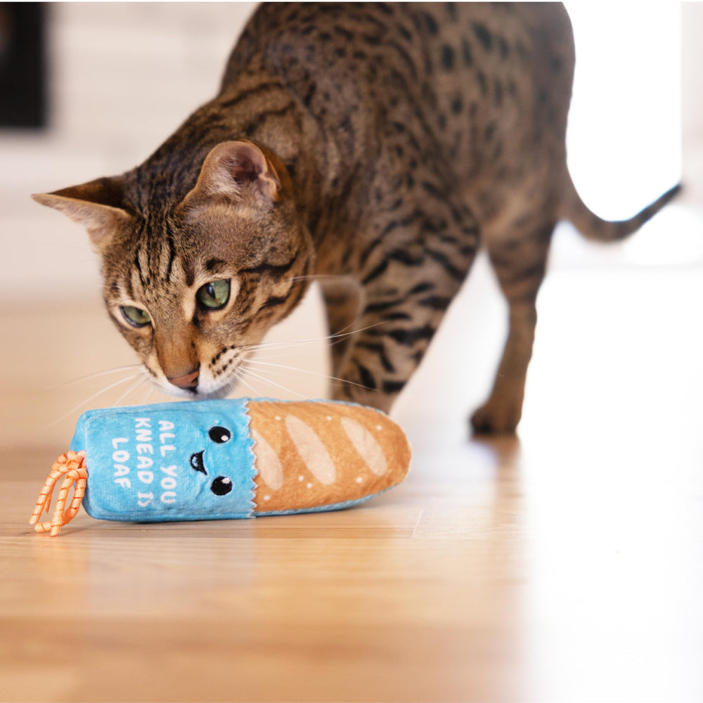 Catstages Loaf Kicker Toy lightweight design for easy carrying between play zones
