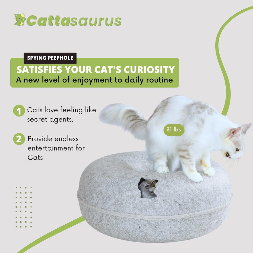 Cattasaurus cat cave fold flat storage shows space-saving design for small spaces