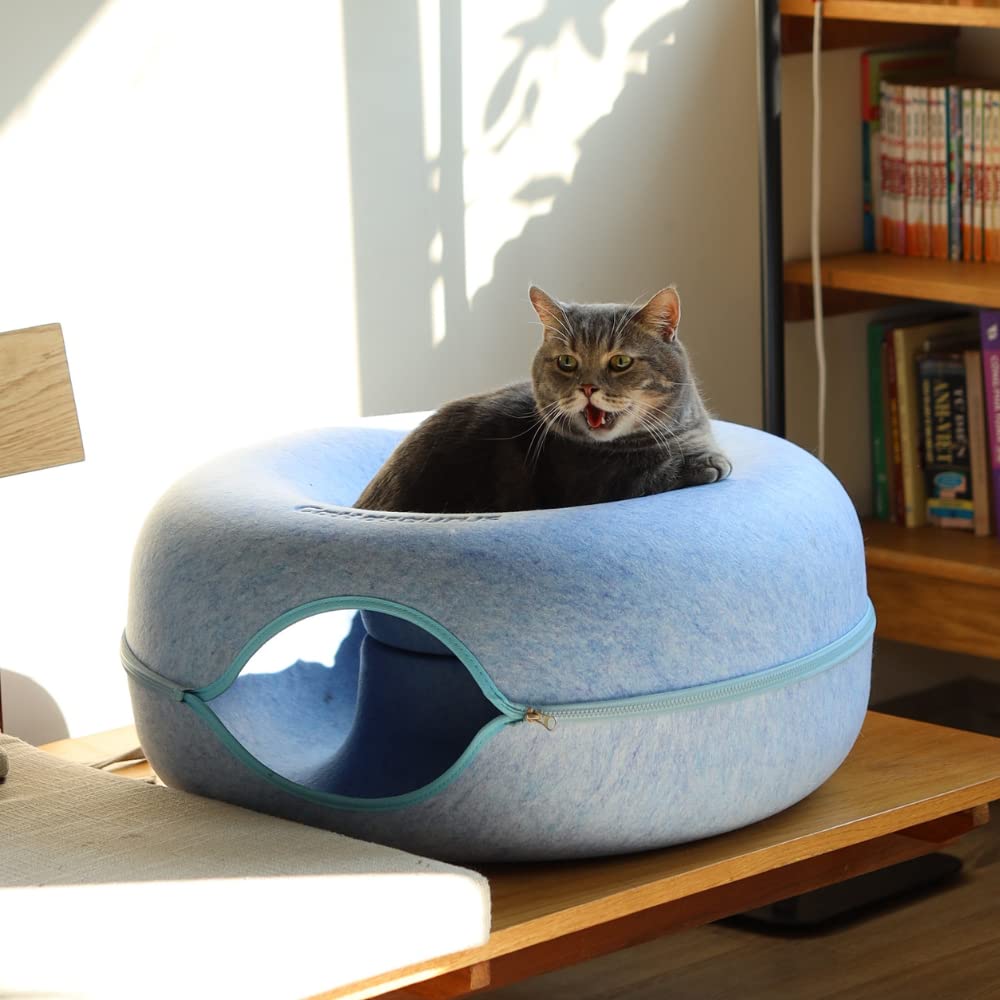 Cattasaurus Peekaboo blue color option complements decor while offering a cozy pet retreat.