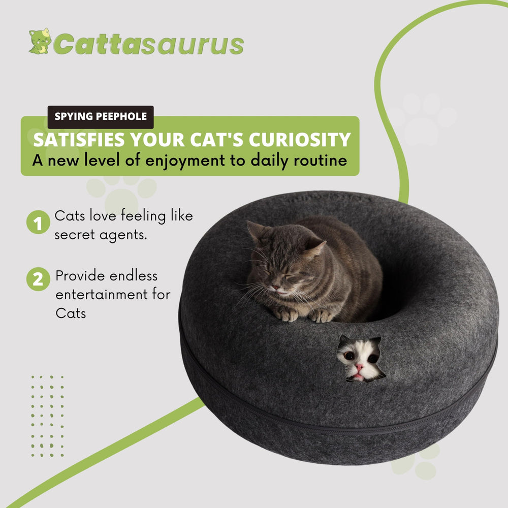 Cattasaurus Peekaboo cat enjoying tunnel for interactive play and bonding moments