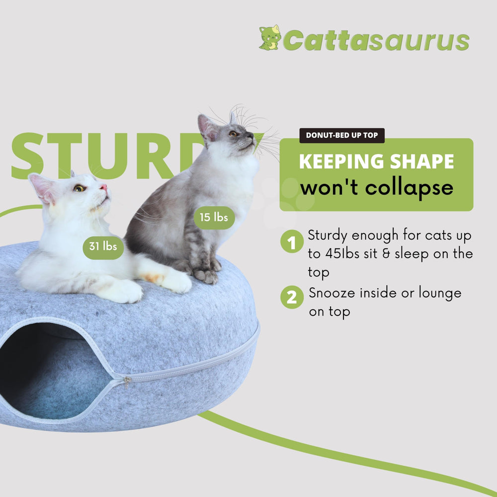 Cattasaurus Peekaboo Light Gray option fits any décor.