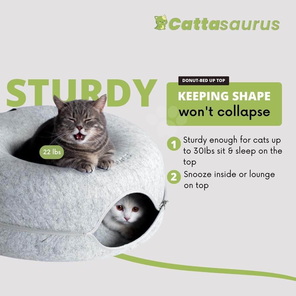 Cattasaurus Peekaboo color options light gray and blue fit modern home decor