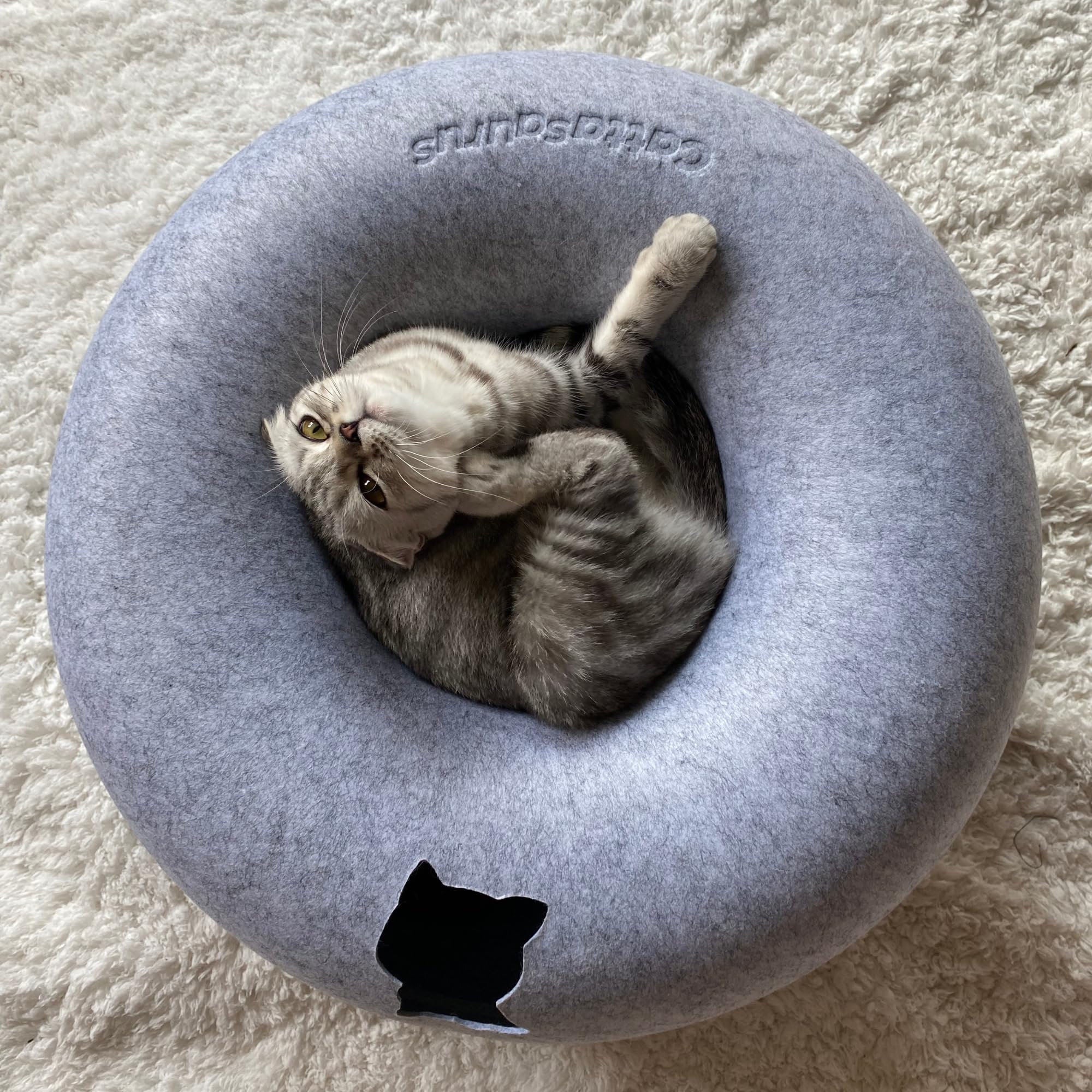 Cattasaurus Peekaboo Cat Cave suits multi-pet homes including small dogs.
