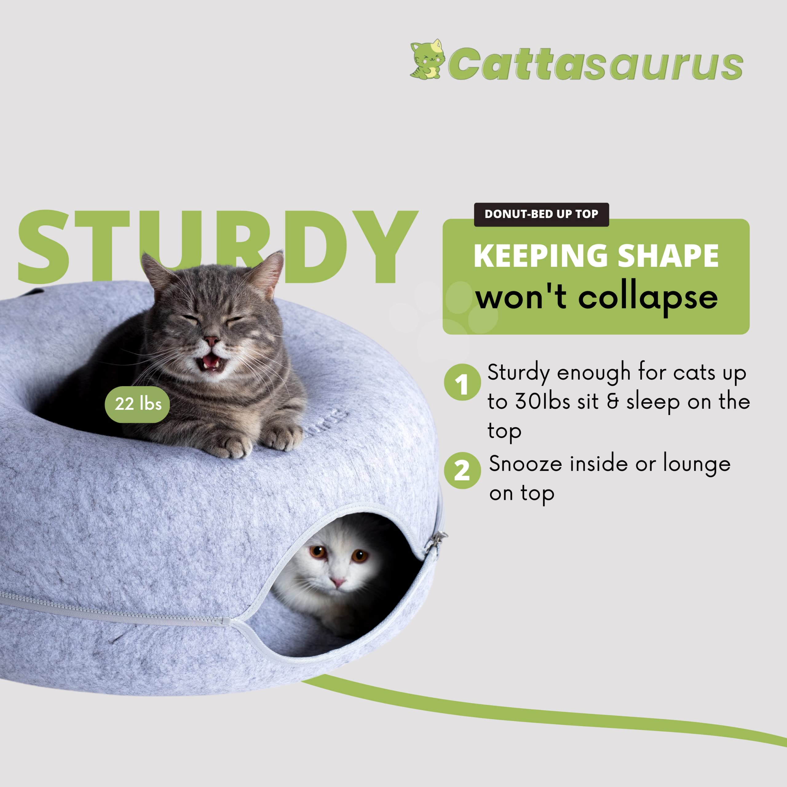 Cattasaurus Peekaboo donut area showcases cozy resting space
