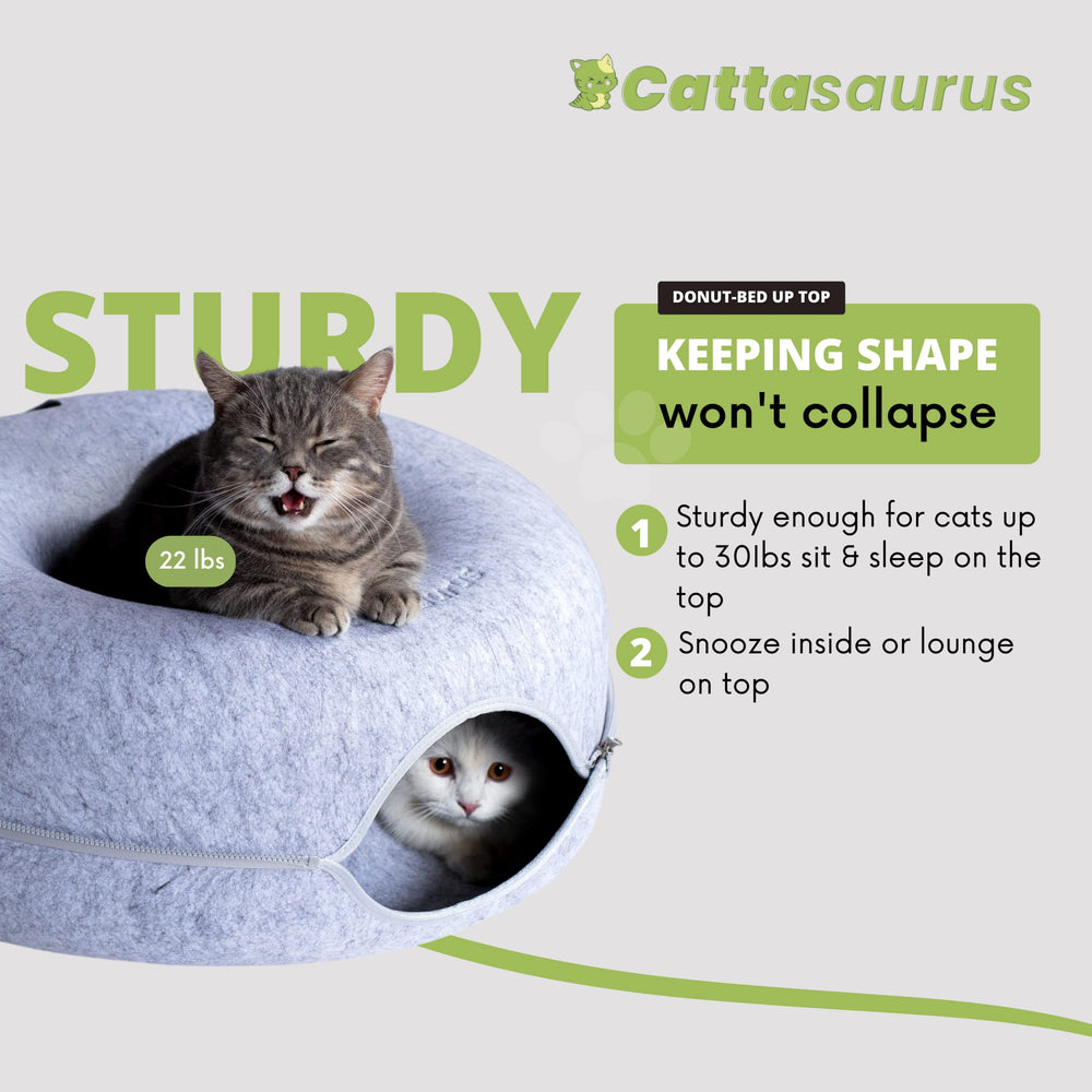 Cattasaurus Peekaboo donut area showcases cozy resting space