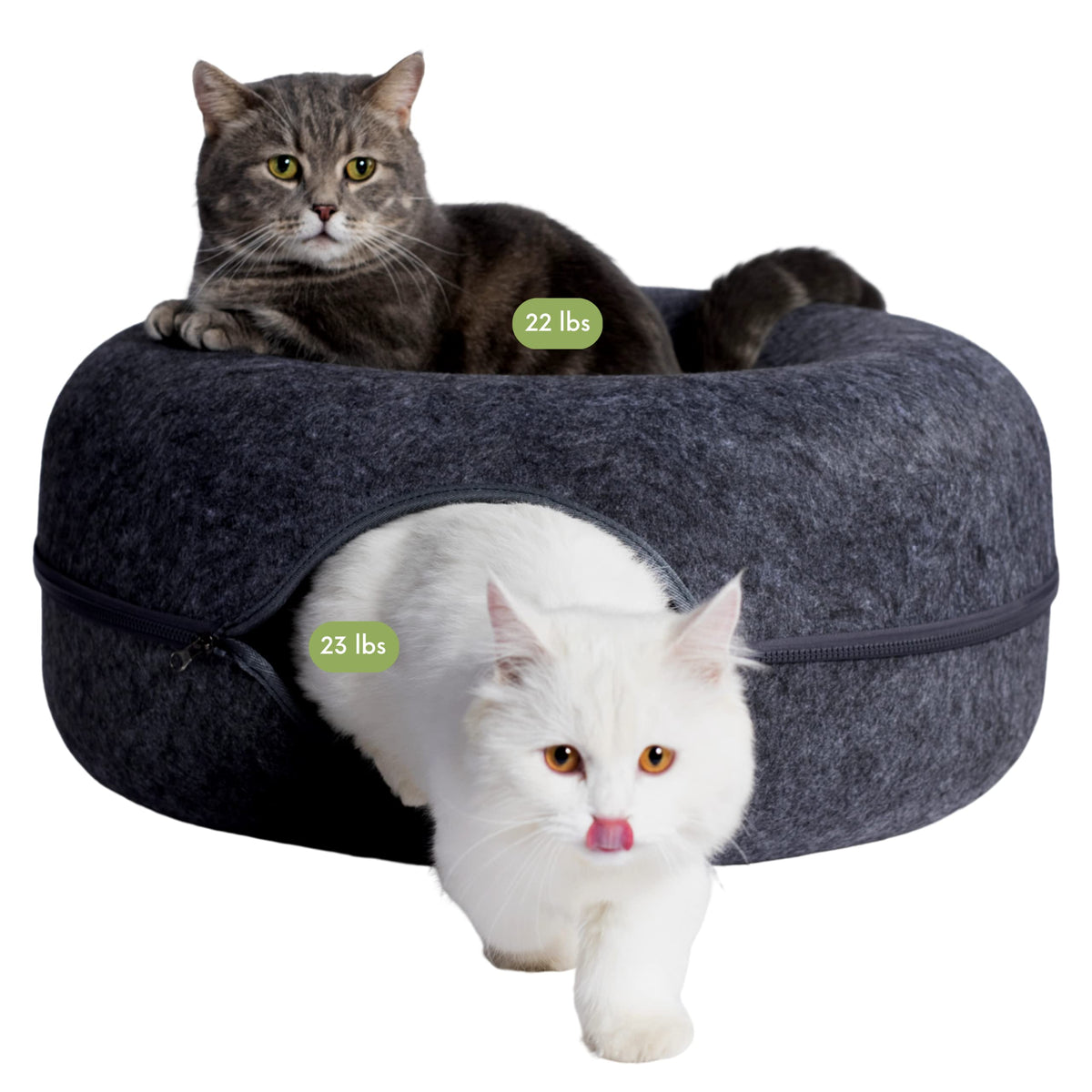 Cattasaurus Peekaboo cat cave donut bed top view for cozy lounging and observation.