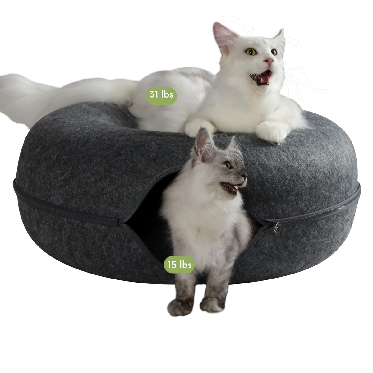 Cattasaurus Peekaboo cat cave donut in dark gray offers cozy hiding and lounging space