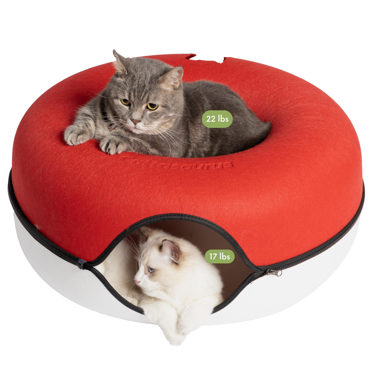 Cattasaurus Peekaboo cat cave donut Ruby Snowball top view, ideal for multi-cat comfort.
