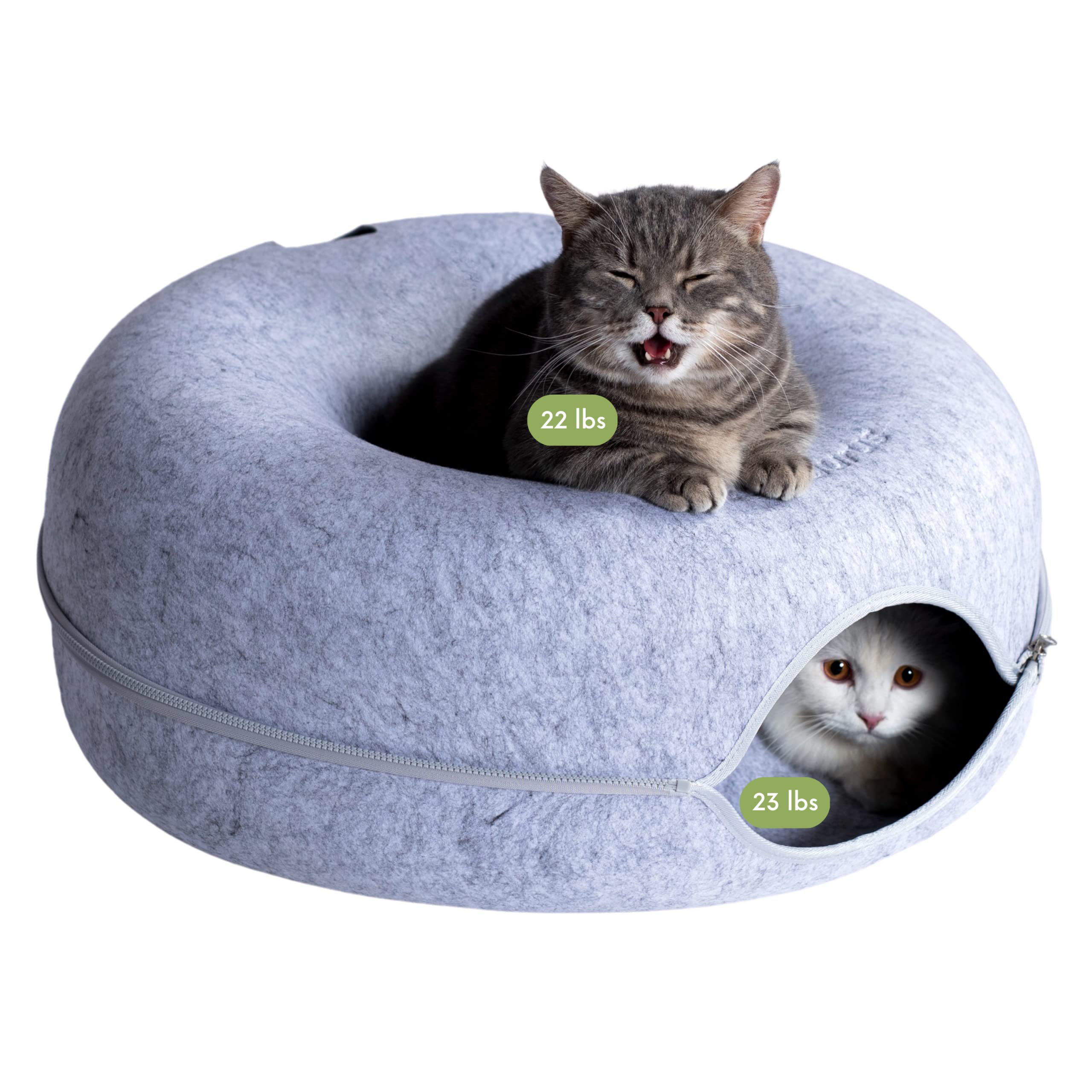 Cattasaurus Peekaboo top-view shows roomy donut for large cats