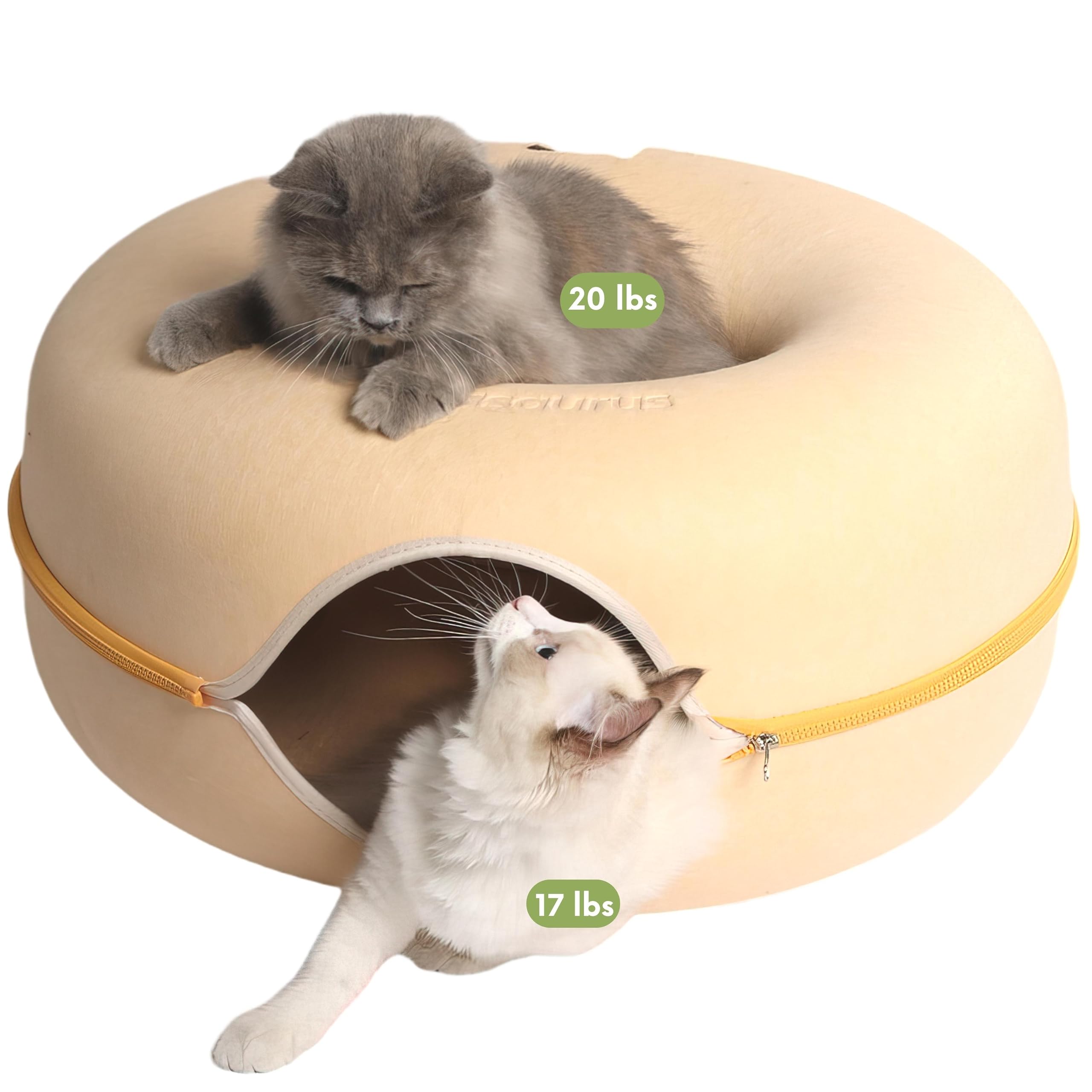 Cattasaurus Peekaboo cat cave donut top view shows a cozy, multi-pet lounging space.