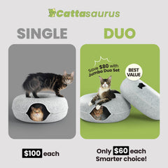 Cattasaurus Peekaboo cat cave duo inside view highlights cozy tunnel and private nap space