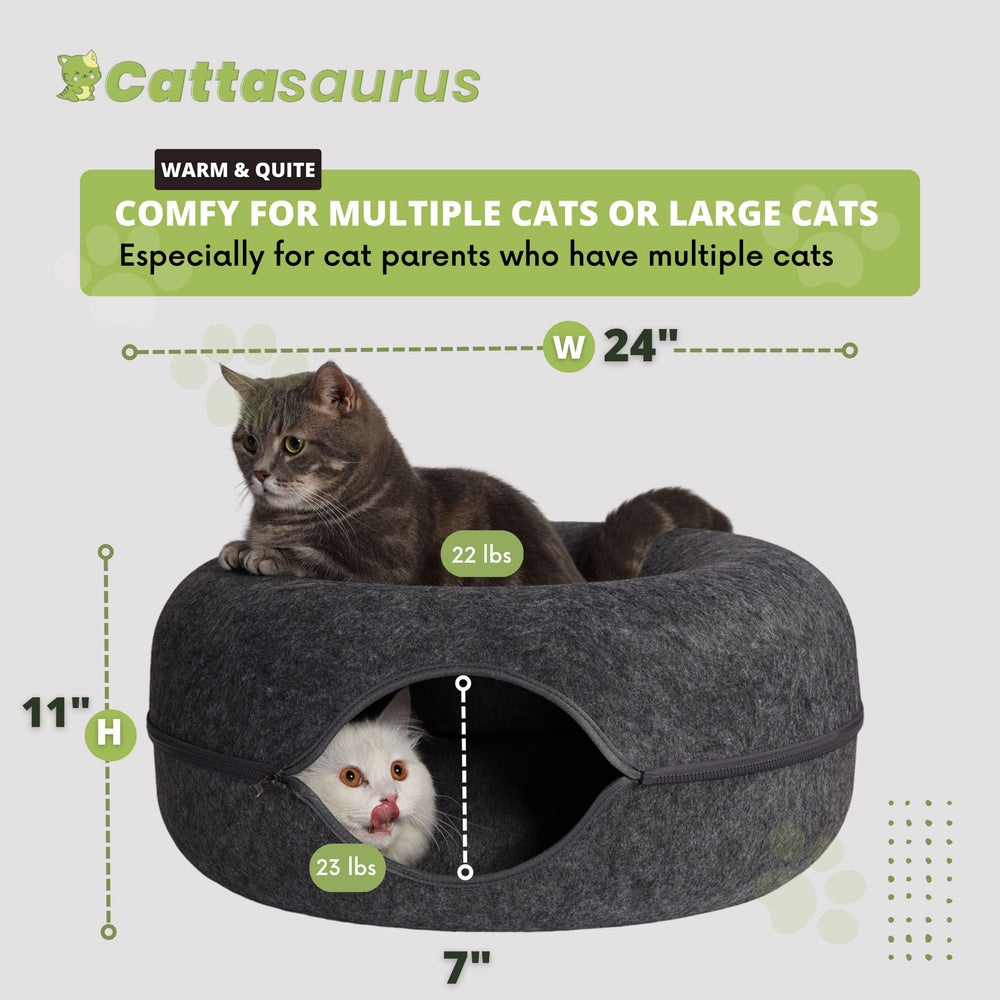 Cattasaurus Peekaboo cat cave peephole window highlighting interactive play and curiosity.