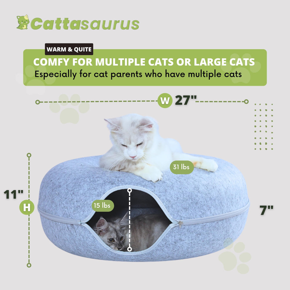 Cattasaurus Peekaboo Cat Cave peephole view invites interactive exploration.