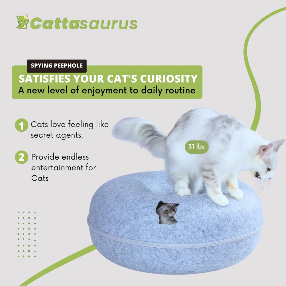 Cattasaurus Peekaboo Cat Cave storage recess keeps toys organized.