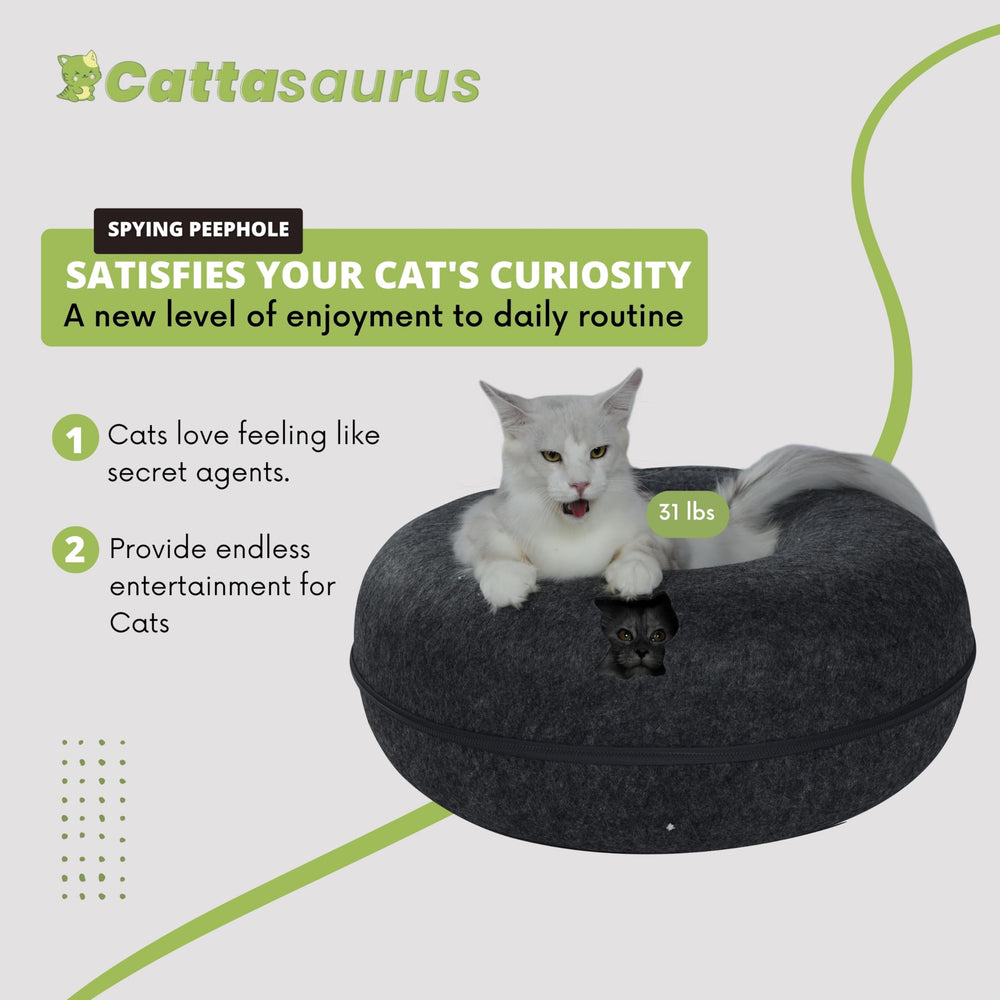 Cattasaurus Peekaboo storage recess adds practical hiding spot