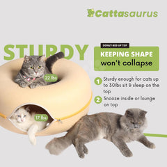 Cattasaurus Peekaboo cat cave washable cover demonstrates easy cleaning and quick refresh.