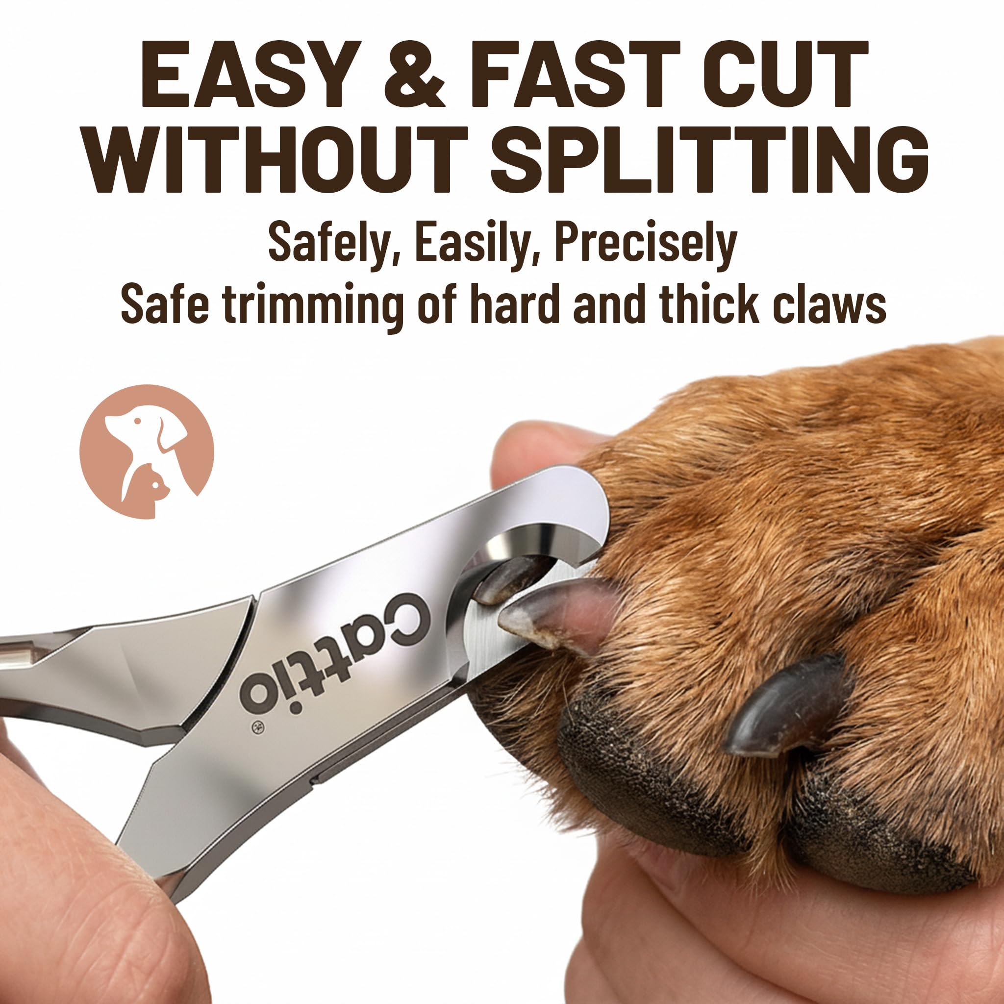 Cattio professional pet care tools shown in clinic setting