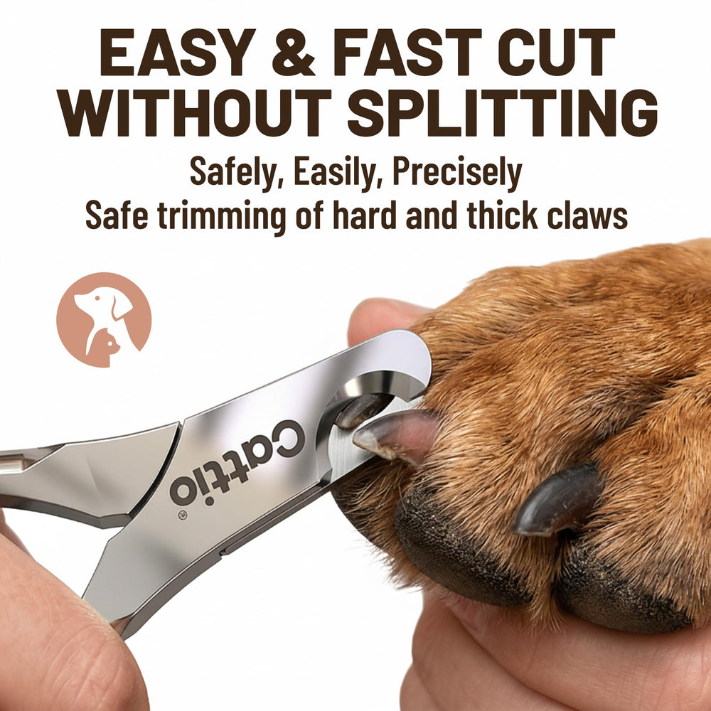 Cattio professional pet care tools shown in clinic setting