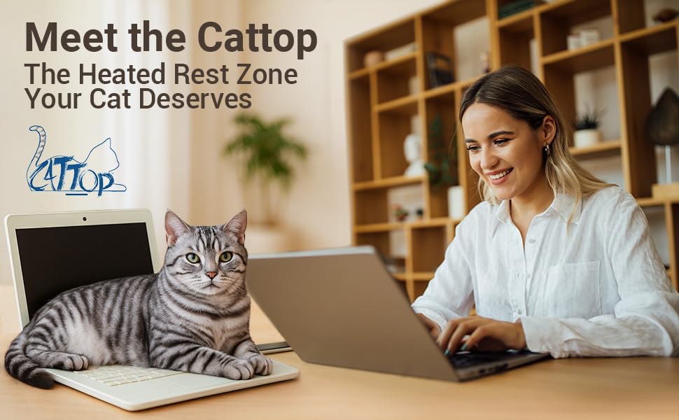 Cattop cat laptop toy adjustable screen demonstrates customizable play and keyboard-safe fun