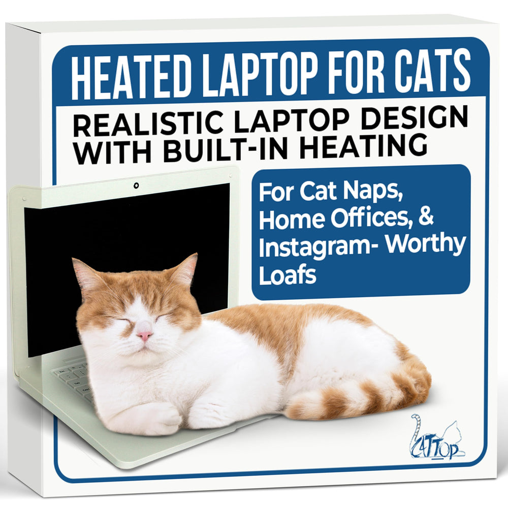 Cattop cat laptop toy front view offers a cozy nap spot for felines