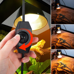 CAVACHEW dimmer heat lamp setup demonstrates adjustable warmth for bearded dragons.