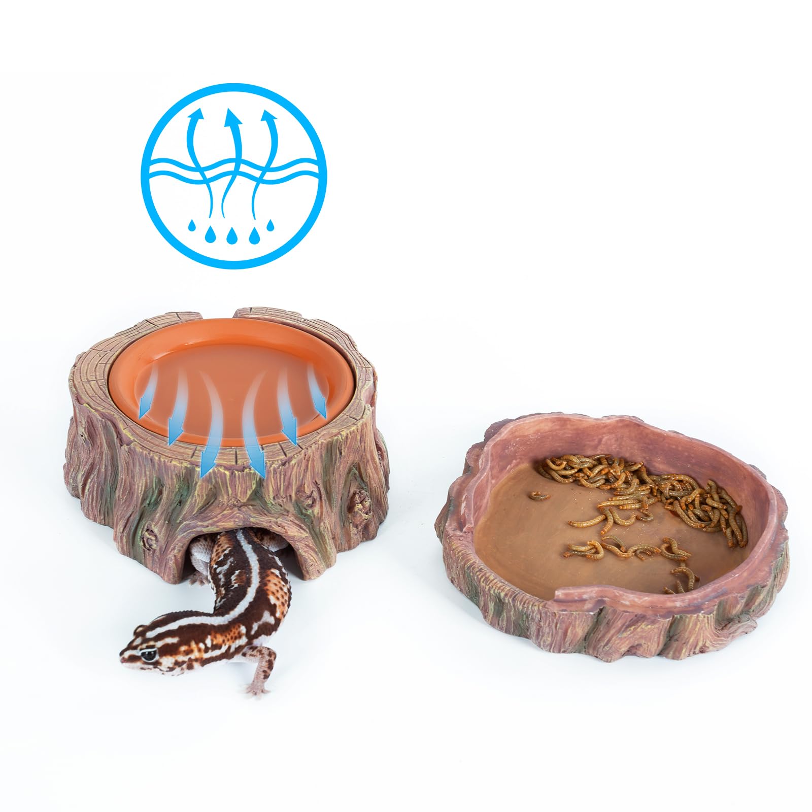 CAVACHEW humid hide dish in terrarium supports moisture for reptiles