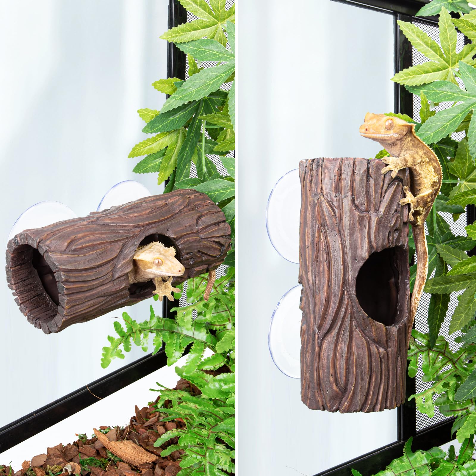 CAVACHEW reptile hide assembly setup shows versatile placement in terrarium