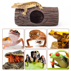 CAVACHEW reptile hide hiding-spot close-up emphasizes safe, comfortable shelter