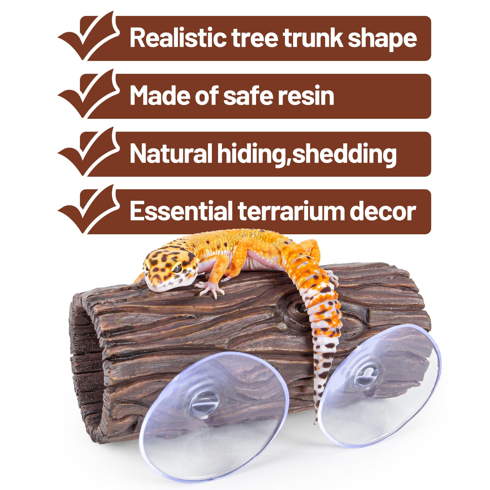 CAVACHEW reptile hide suction cups installed demonstrates firm glass attachment for climbing