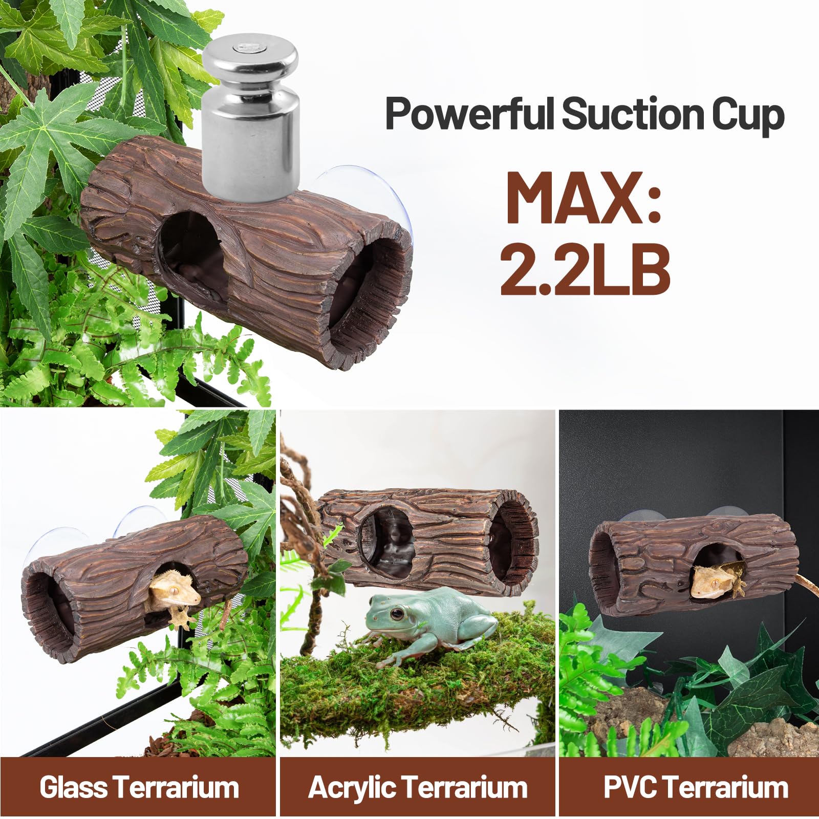 CAVACHEW reptile hide terrarium wood texture close-up highlights realistic habitat