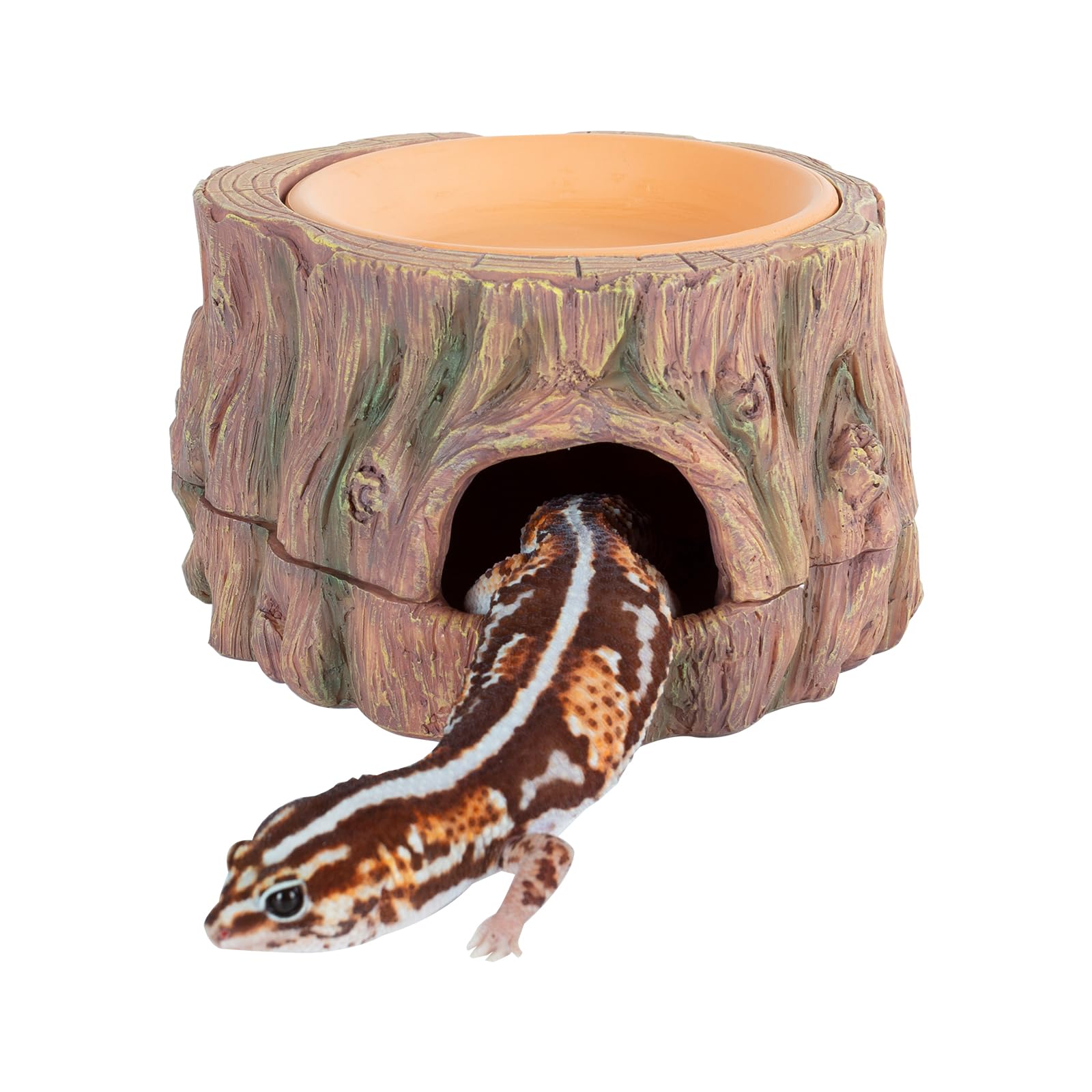 CAVACHEW tree-shaped hide cave secure retreat for small reptiles
