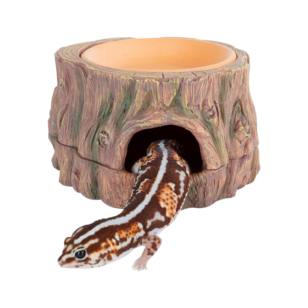 CAVACHEW tree-shaped hide cave secure retreat for small reptiles