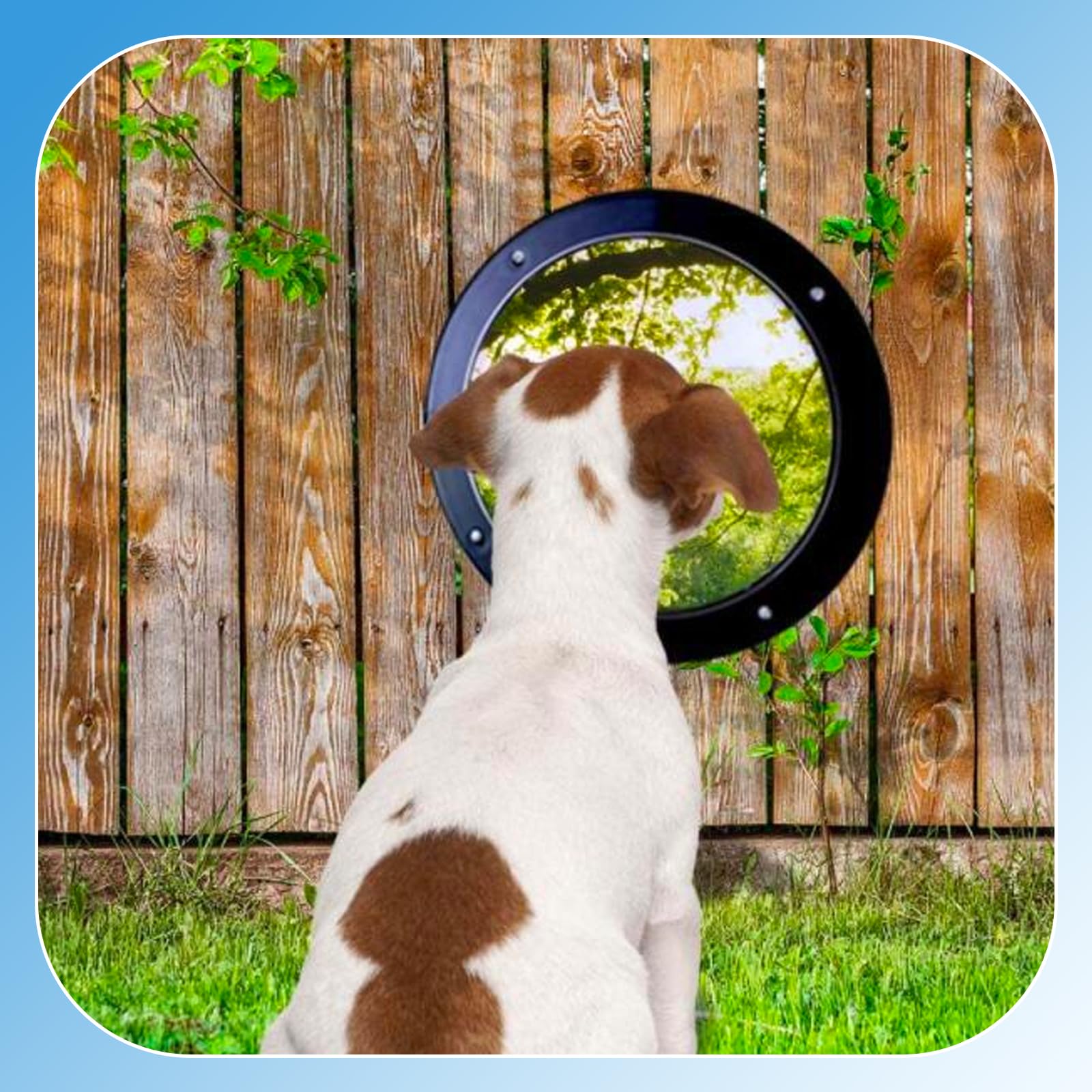 CAWUWE versatile use for dog houses and indoor play areas