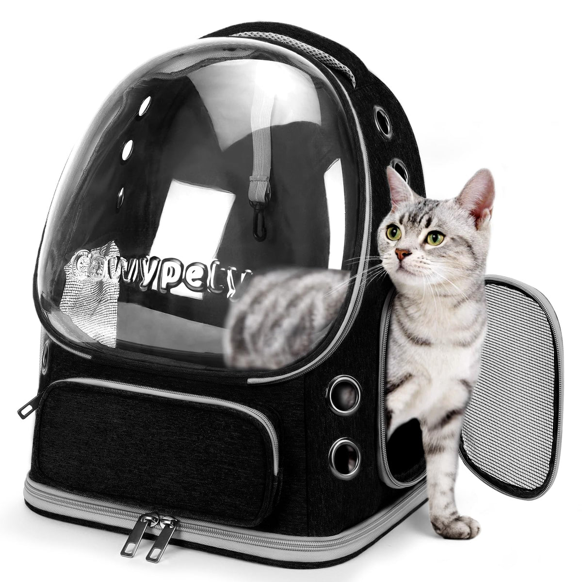 Cawypety cat backpack carrier bubble window lets sunlight while ventilating your pet.
