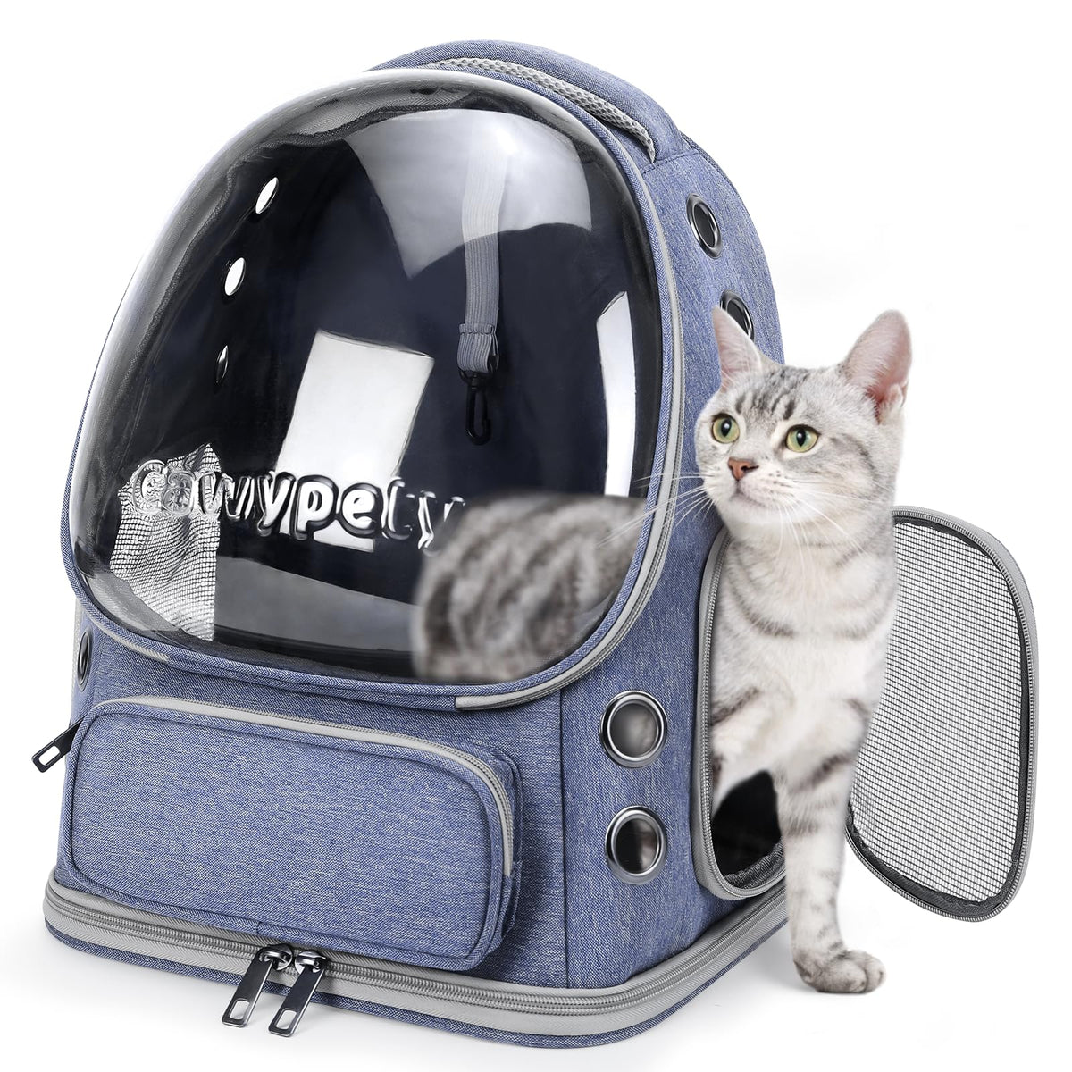 Cawypety cat backpack front bubble window shows breathable visibility and sun comfort.
