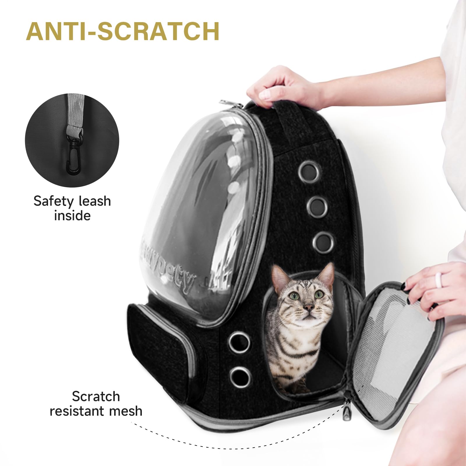 Cawypety cat backpack carrier spacious interior for cats to turn around.