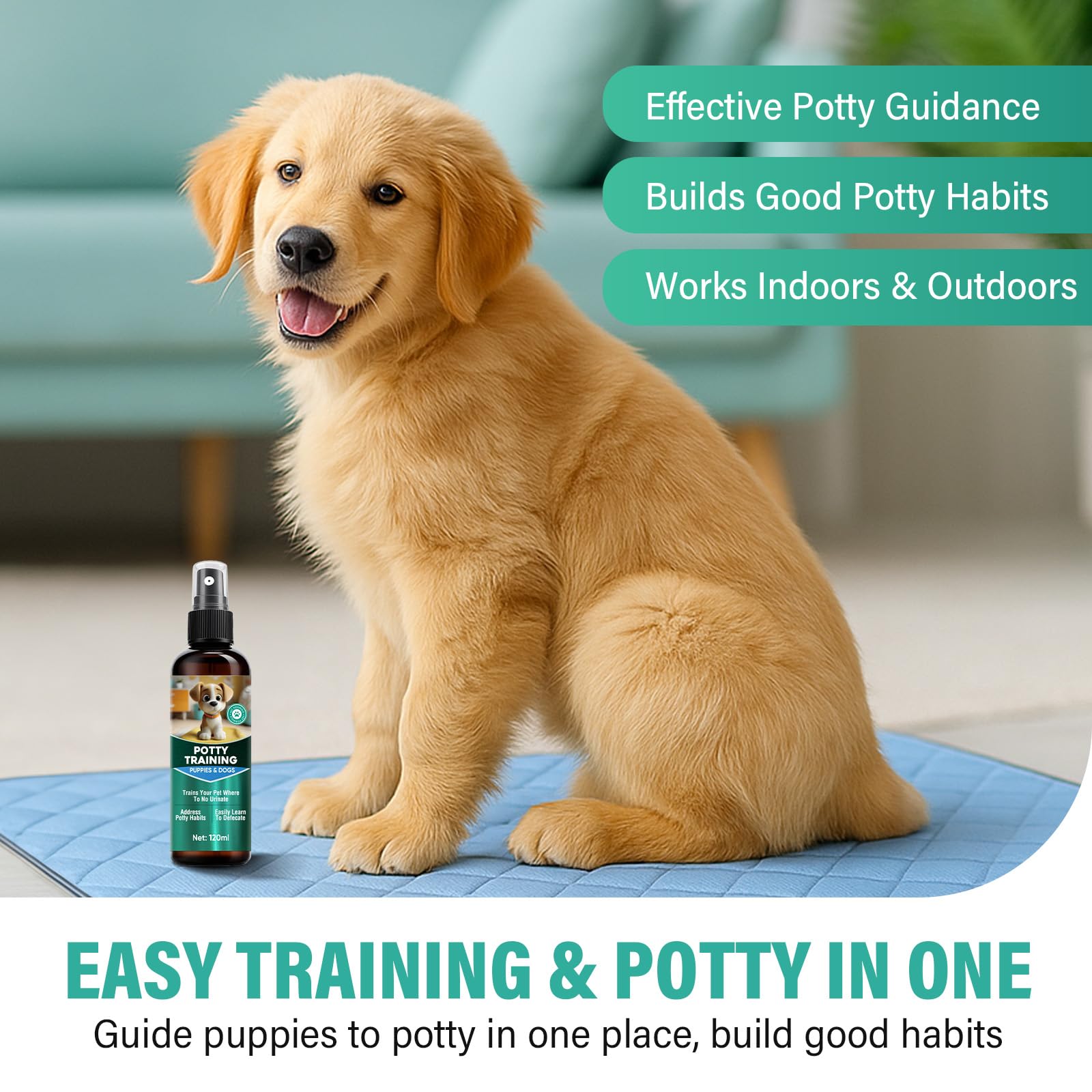 Cayenne dog potty spray demonstrates application area guiding to a designated spot.